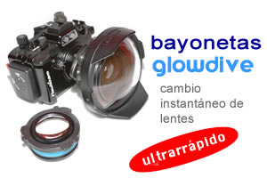 bayonetas para lentes húmedas