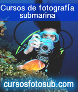 curso fotografia submarina