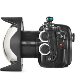 Cúpulas y Frontales