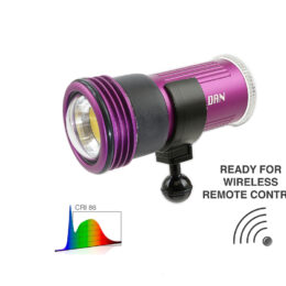 KELDAN Video 4XR 11000lm CRI 86