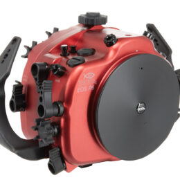 Carcasa Isotta para Canon EOS R6