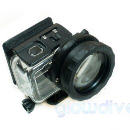 GoMacro: compuesto de Macromate Mini +15  y bayoneta macho Glowdive