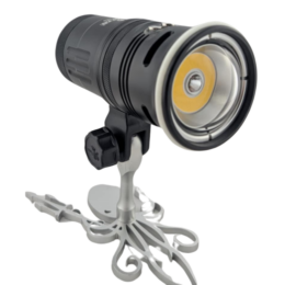 Kraken Foco dual LTD 12.000