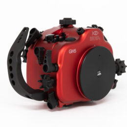 Housing for Panasonic Lumix GH5 / Lumix DC-GH5S