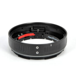 Mini Extension Ring 17