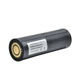 Bateria 12000 v3 Larga